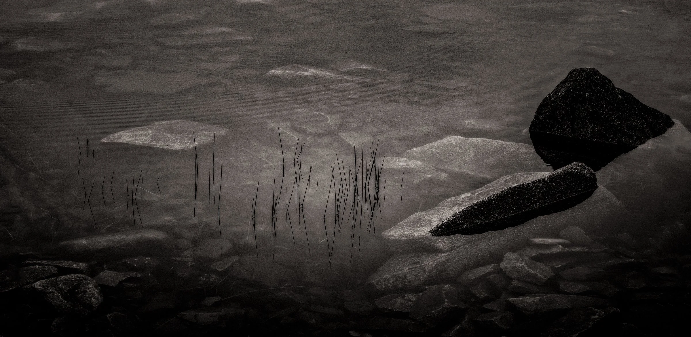 Into the Deep_001.jpg