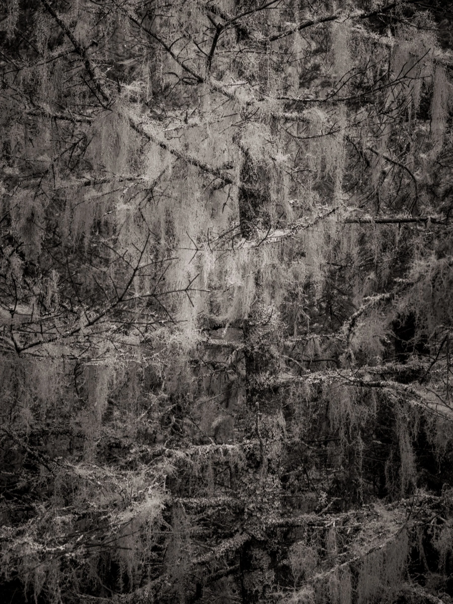 Cascade_001.jpg