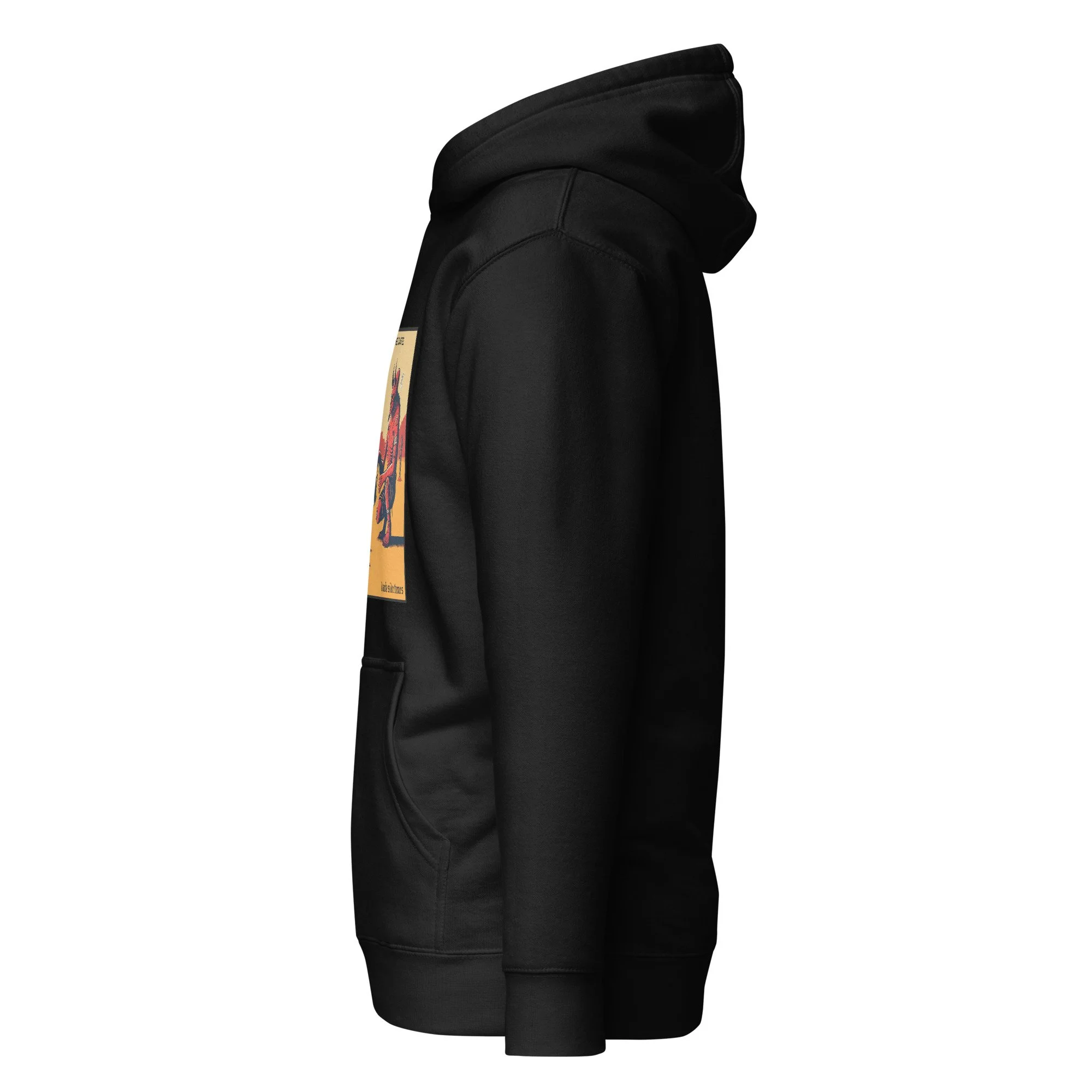 unisex-premium-hoodie-black-left-66e0d25852081.jpg