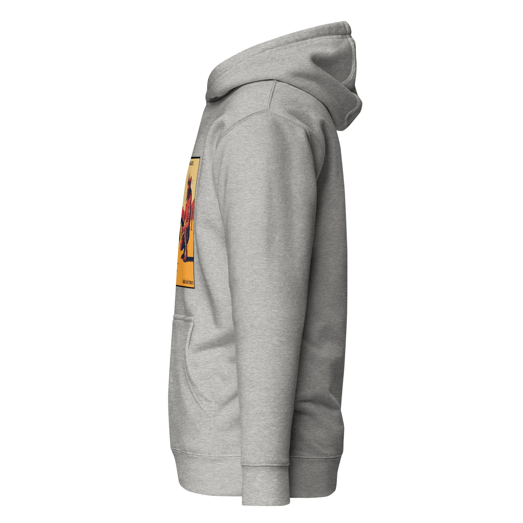 unisex-premium-hoodie-carbon-grey-left-66e0d25894be9.jpg