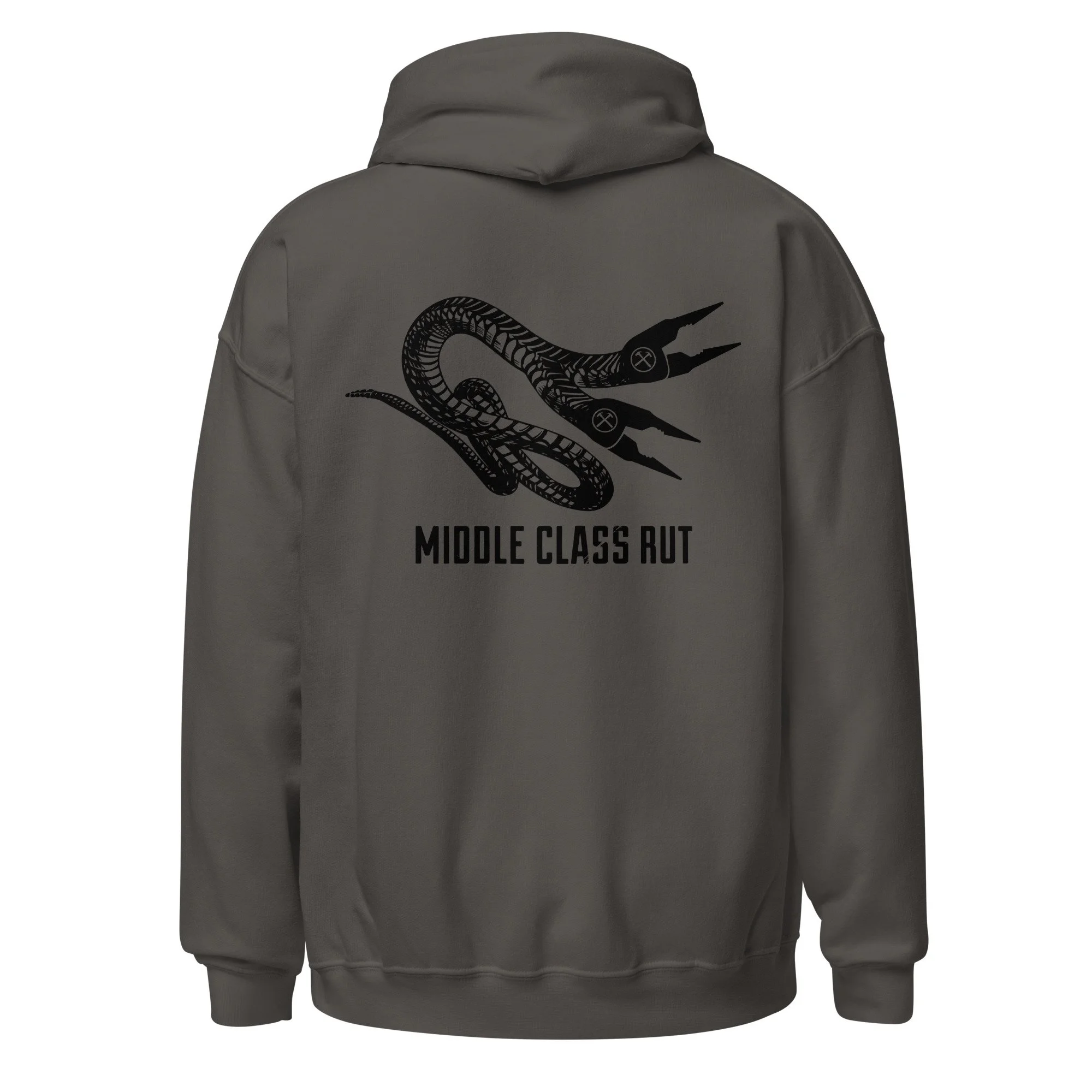 unisex-heavy-blend-hoodie-charcoal-back-68b657da89562.jpg