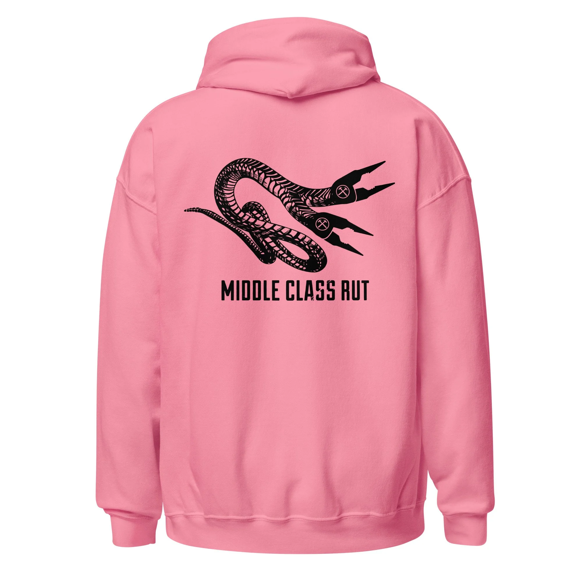 unisex-heavy-blend-hoodie-azalea-back-68b657da914d0.jpg