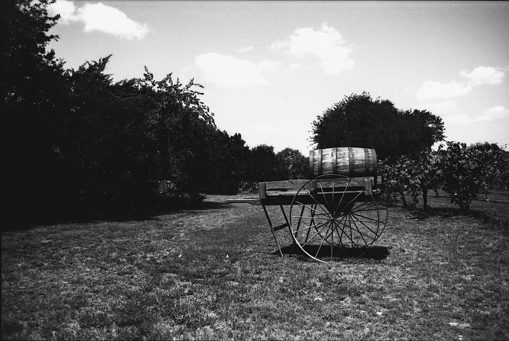 img020.jpg