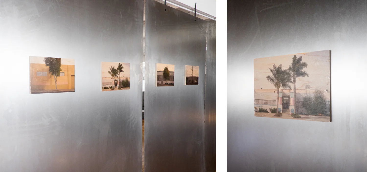 Photo transfers by Cody