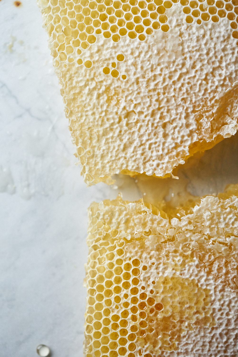 Honeycomb_0824.jpg