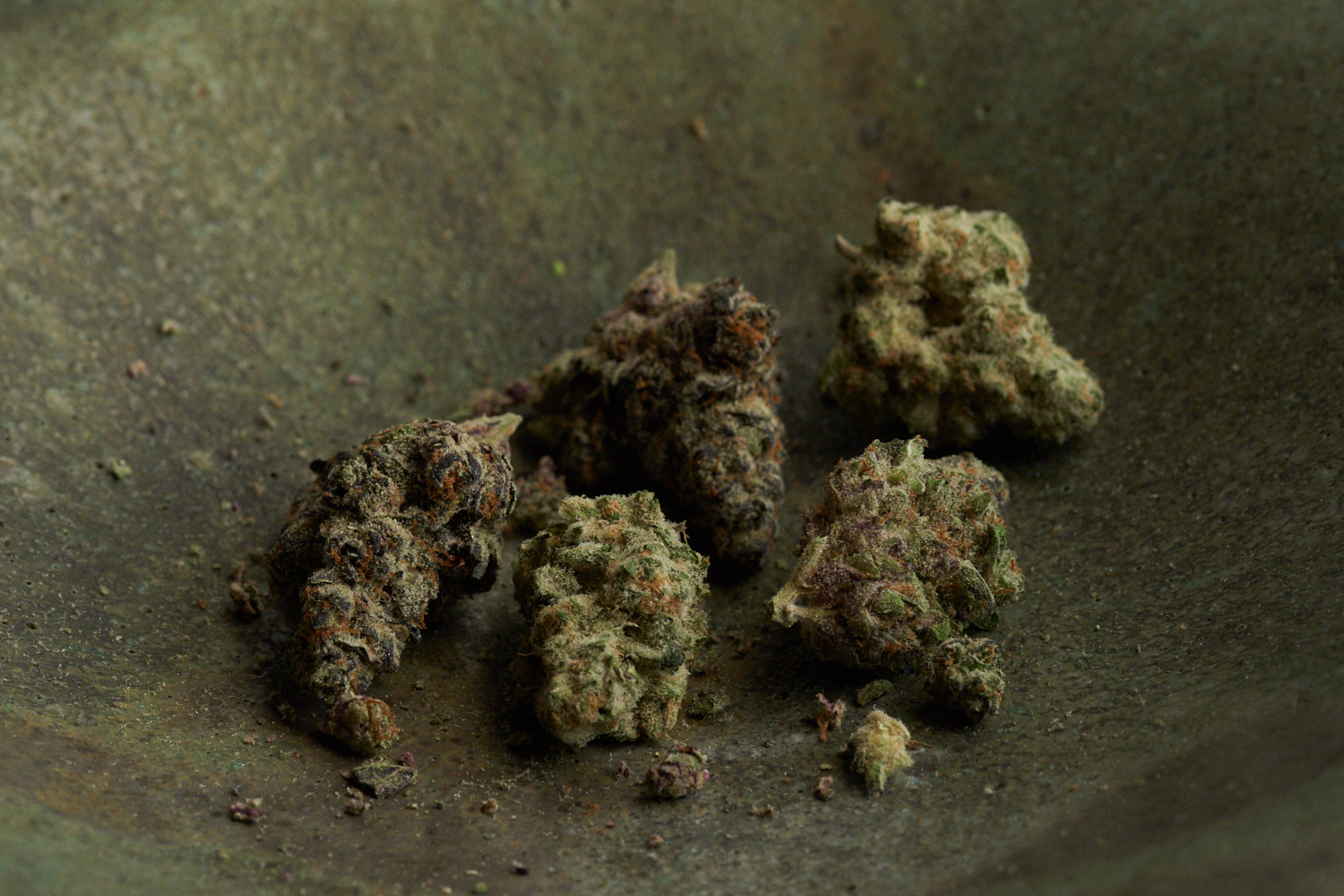 Cannabis Flowers_0015.jpg