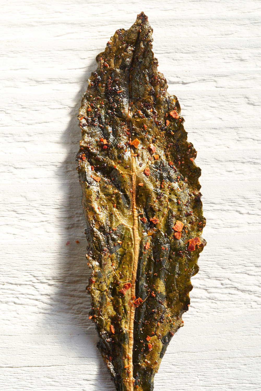 Kale Chips_0038.jpg