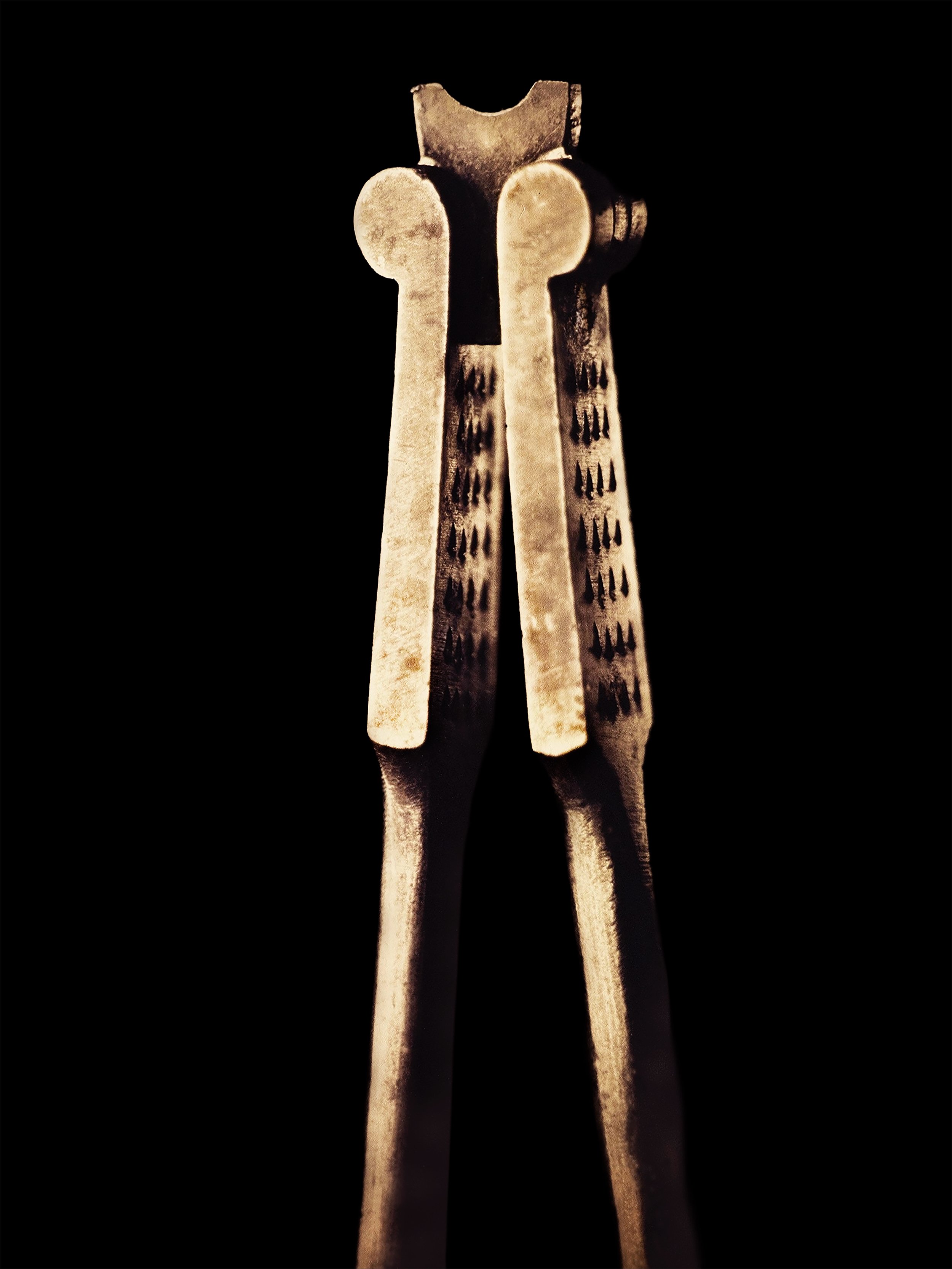 NutCracker.Web.jpg