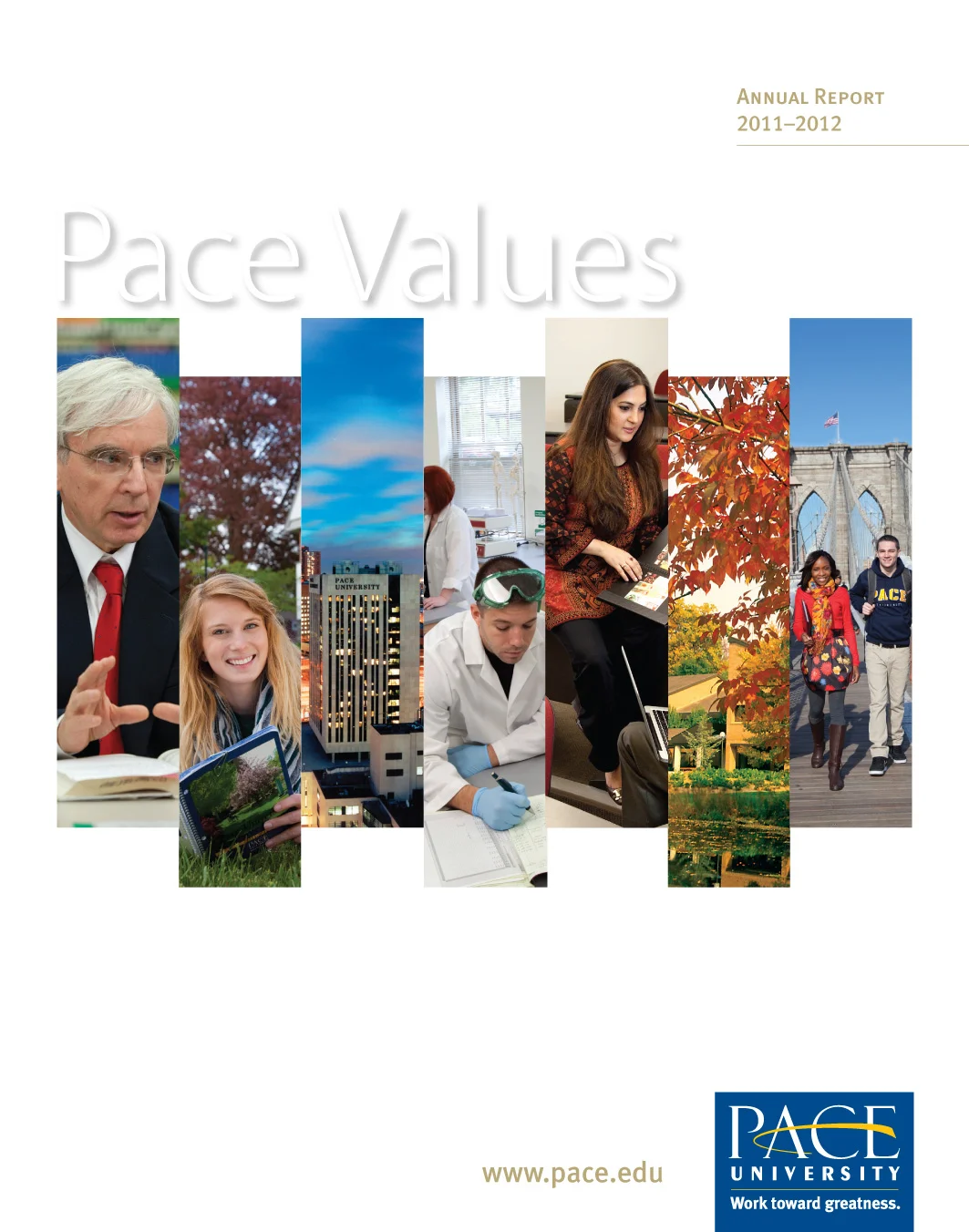 Pace_University_Annual-Report_Cover.jpg