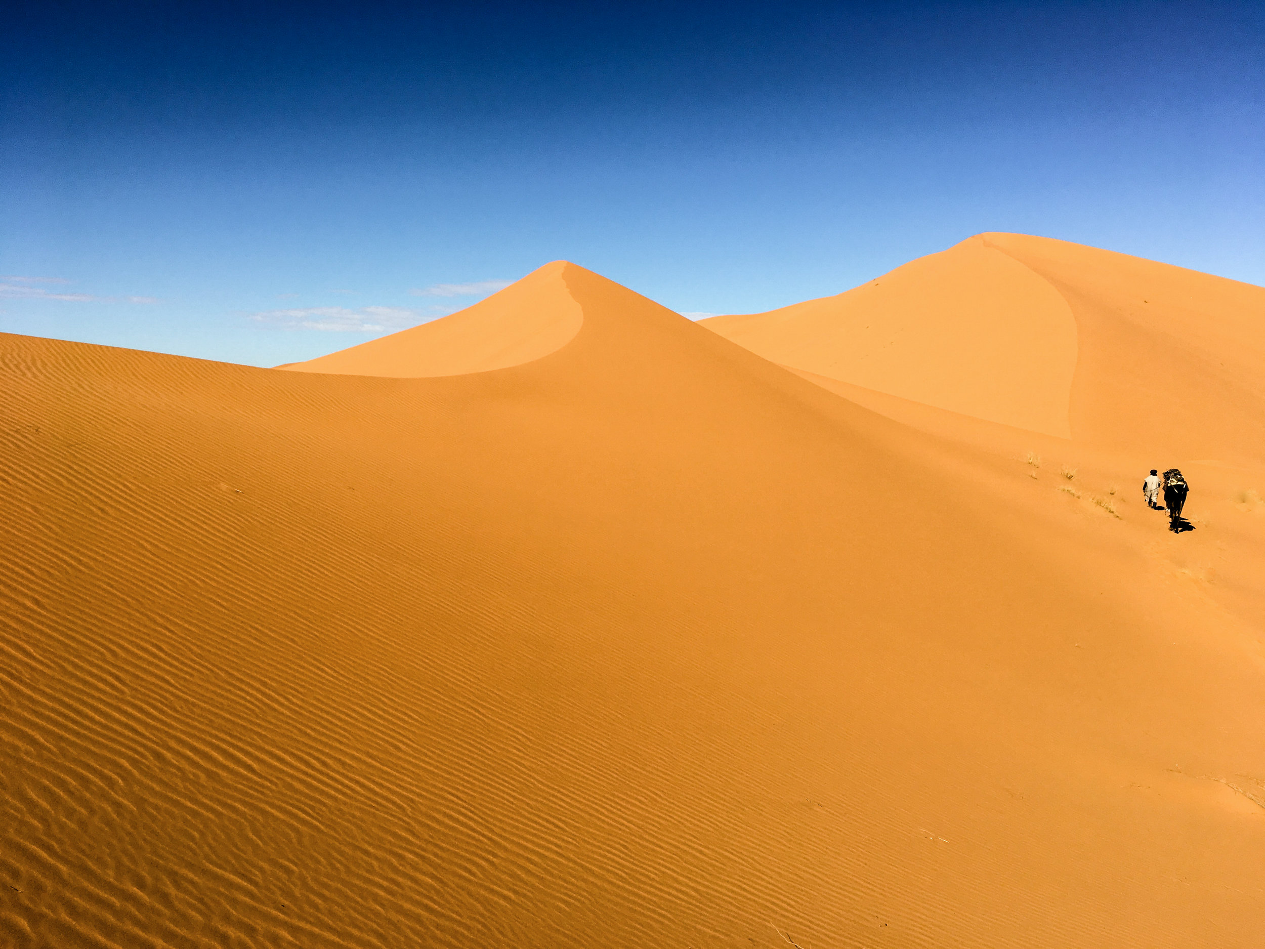 Sahara_minimalism.jpg