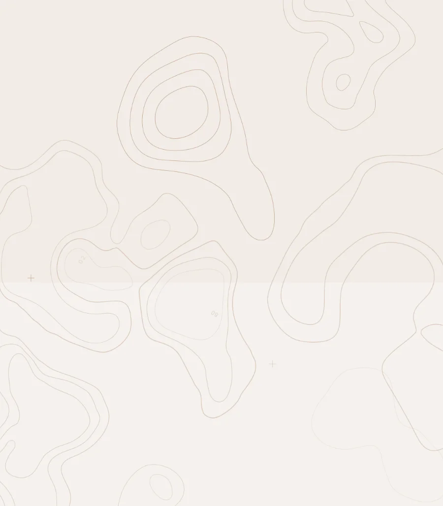 bpa-pattern.jpg