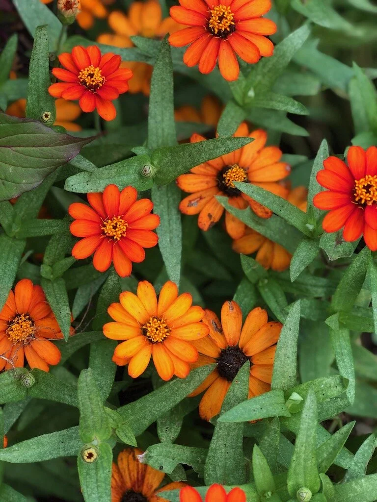 Second Quarter 2020 In Review