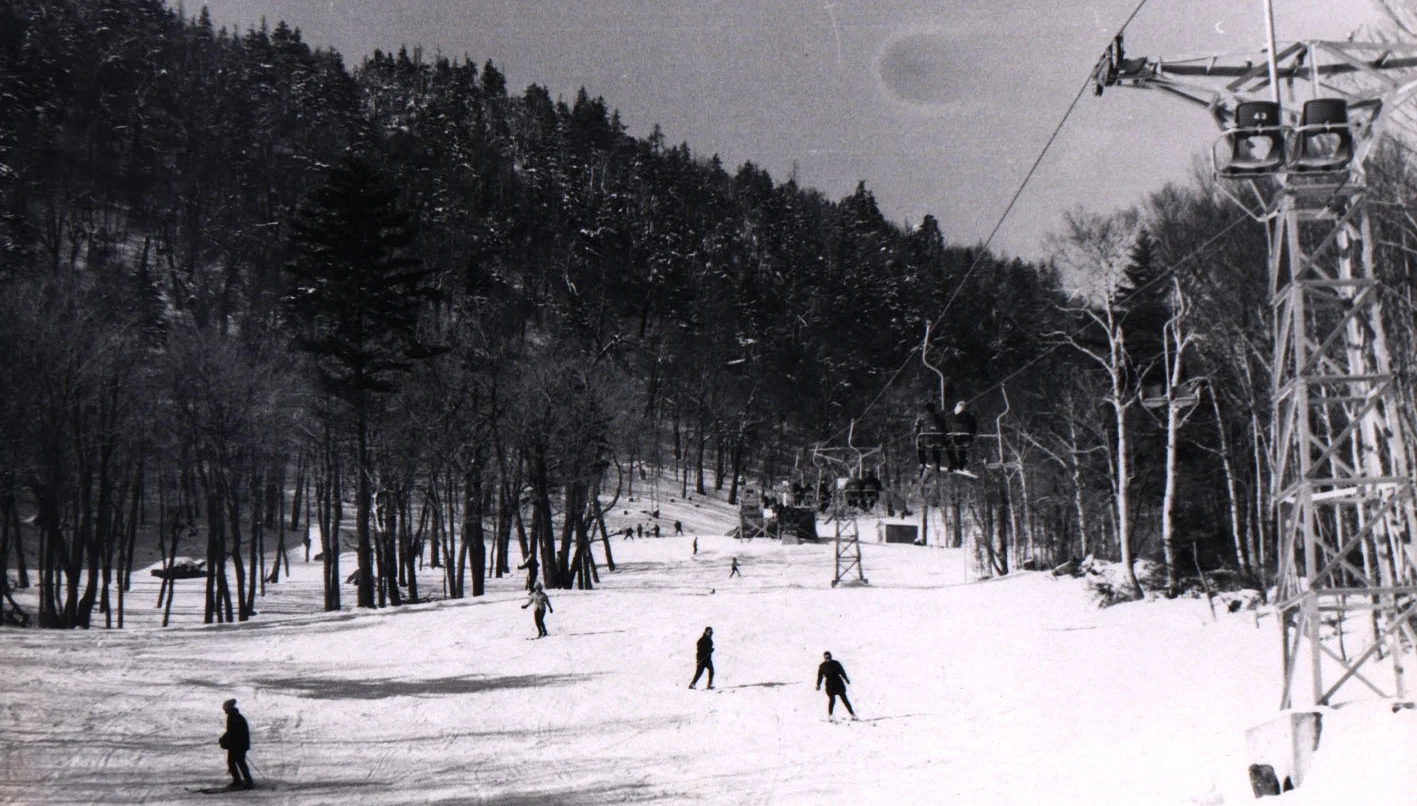 Birdland old chair.jpg