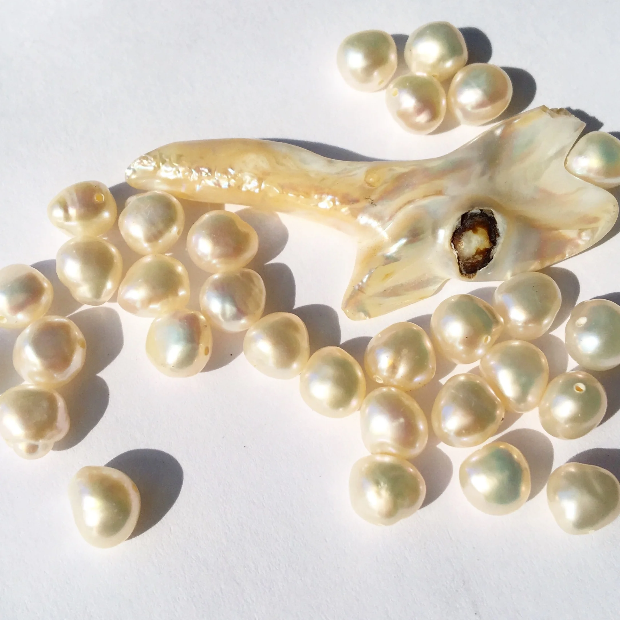LAstudio_pearls.jpeg