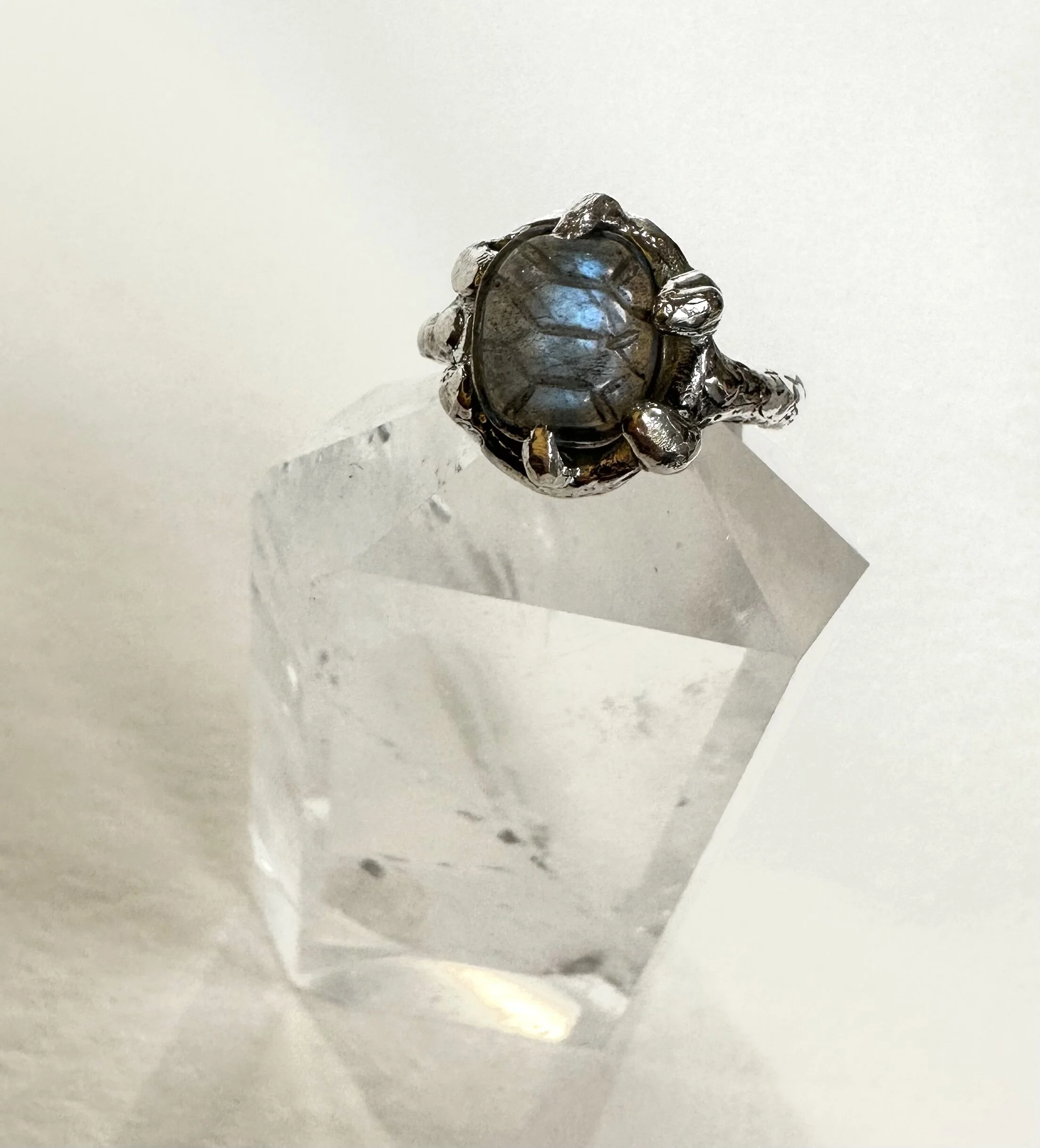 7EFC5F2B-7401-4DF8-8EDC-F0B88D991DCC