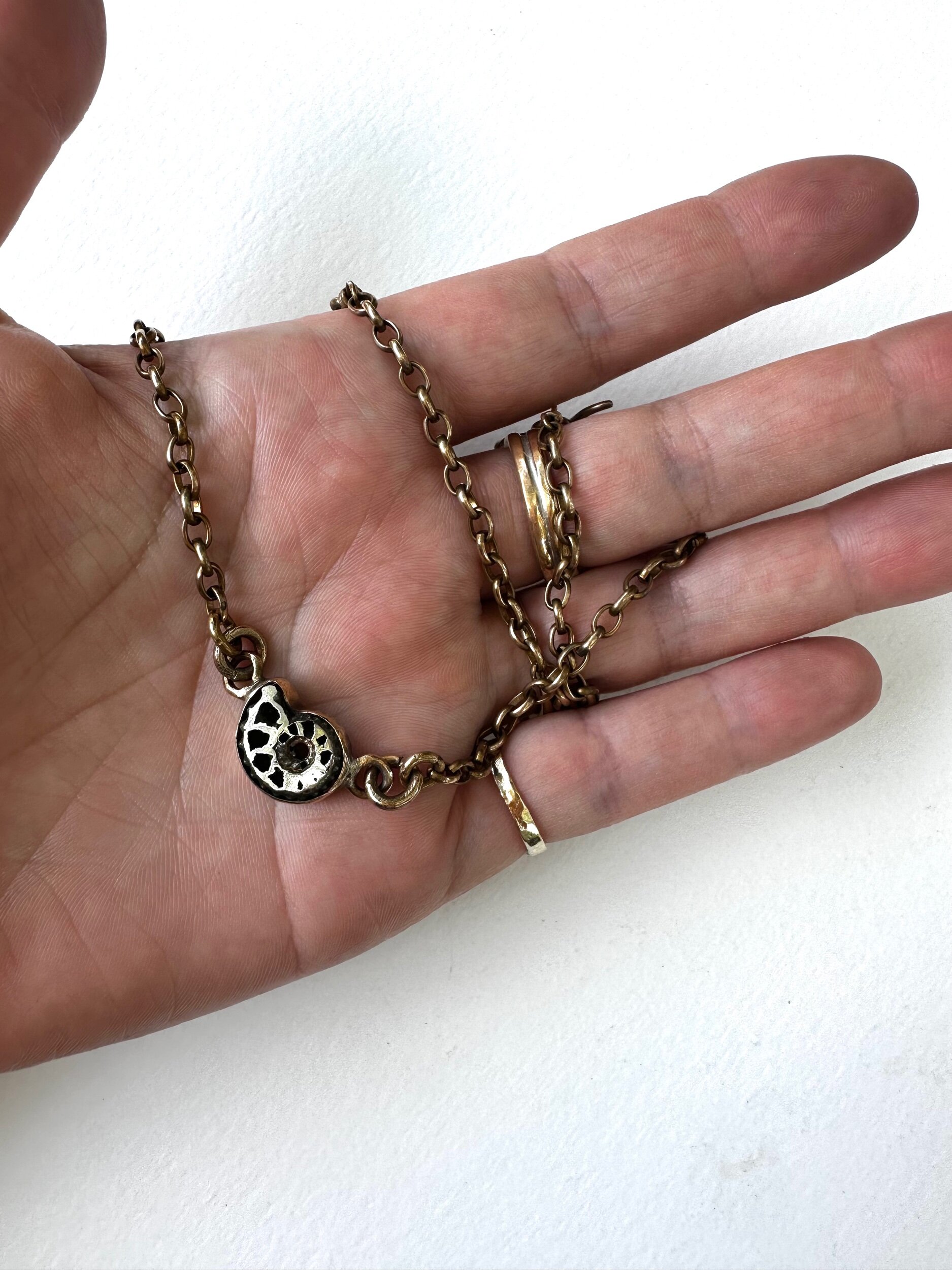 DC4CC6F8-FB9E-4D6B-98C2-3512D7FA6B07