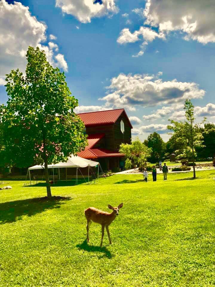 Awakening Together Tour 2017 - Blue Cliff Monastery