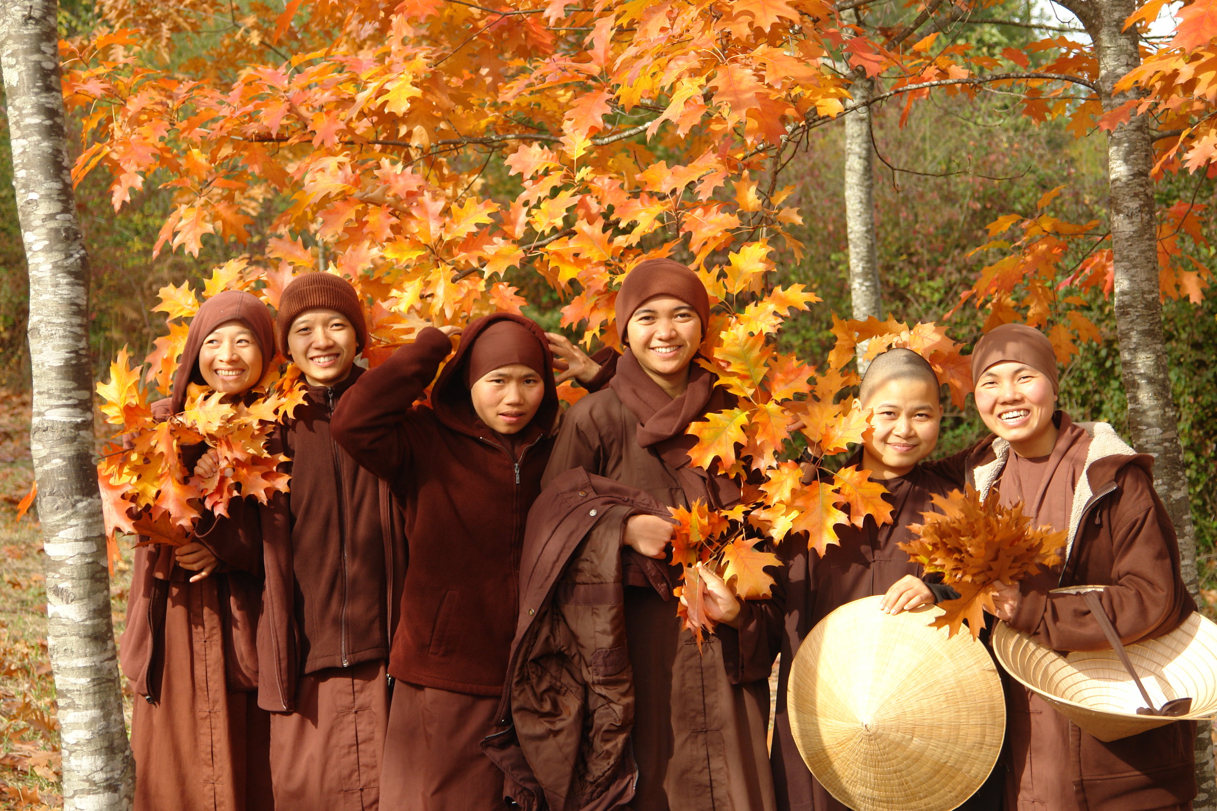  Supporting the health and well-being of over 600 monks and nuns 