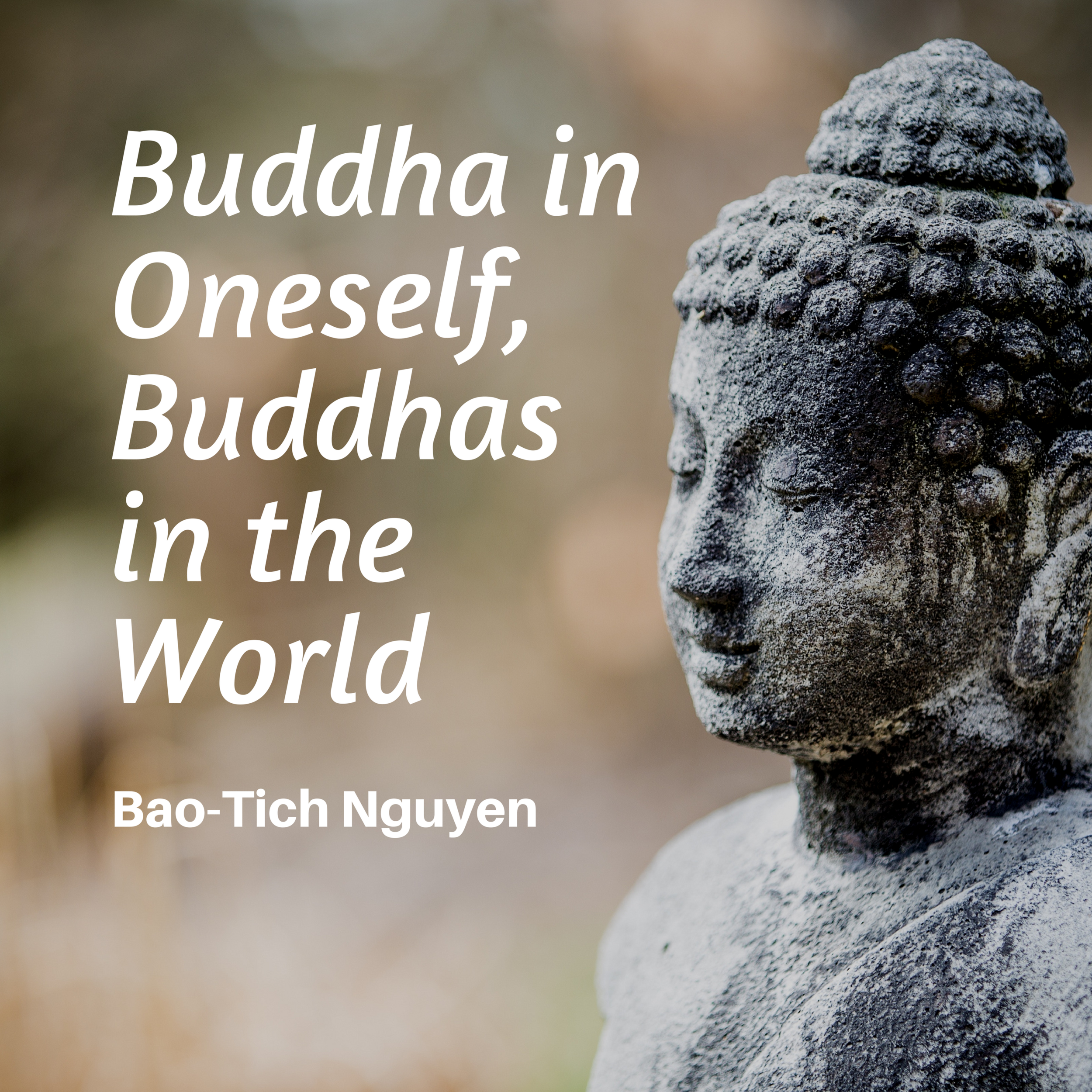 Buddha in Oneself,Buddhas in the World.png