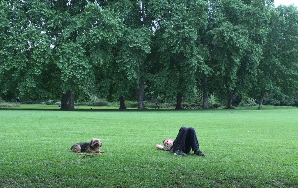 Child Laying on Grass with Dog (Photo from Robert at Jive Media).jpeg