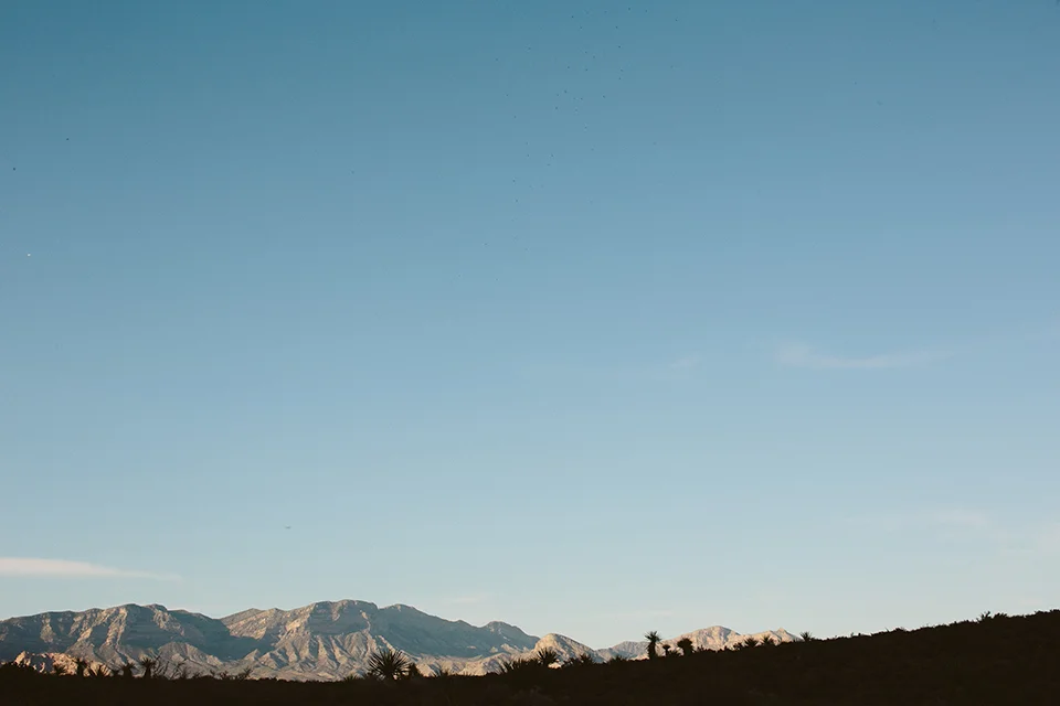 WPPI_31.jpg