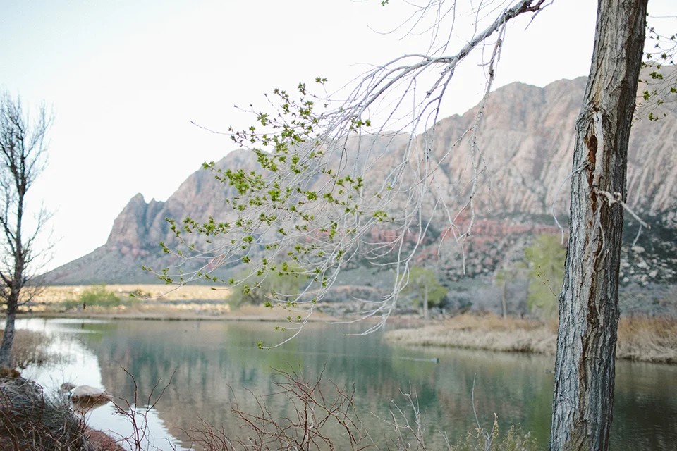 WPPI_40.jpg
