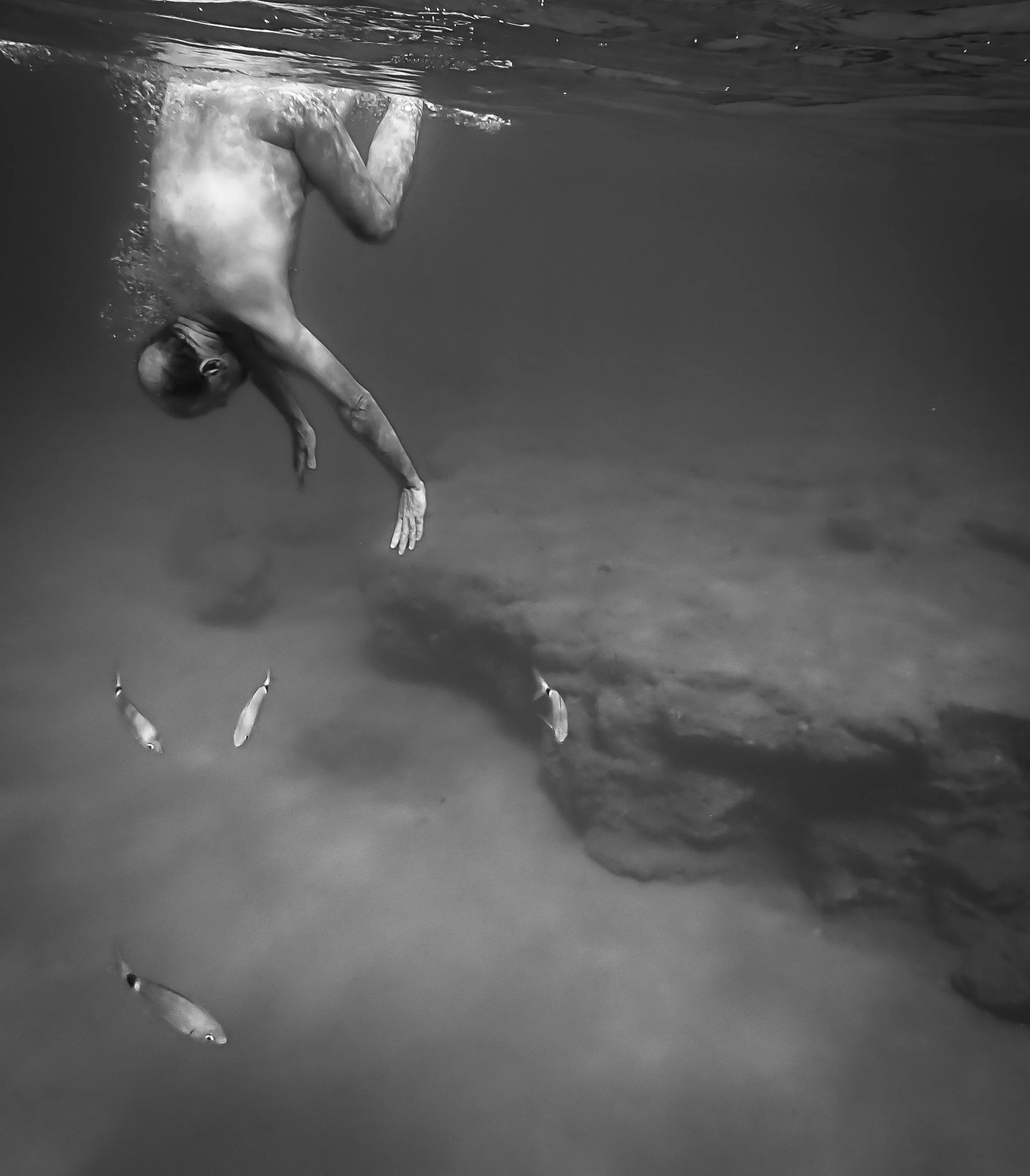 with fish-1.JPG