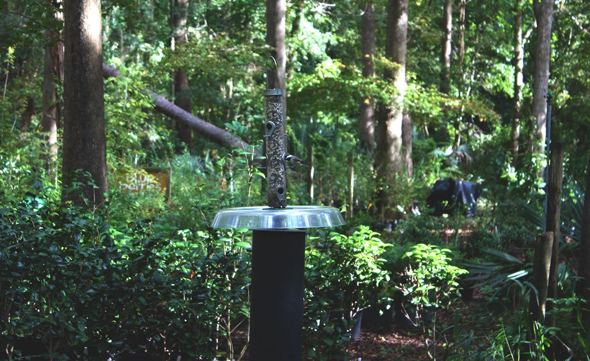 chickadee-feeder-nursery.jpg