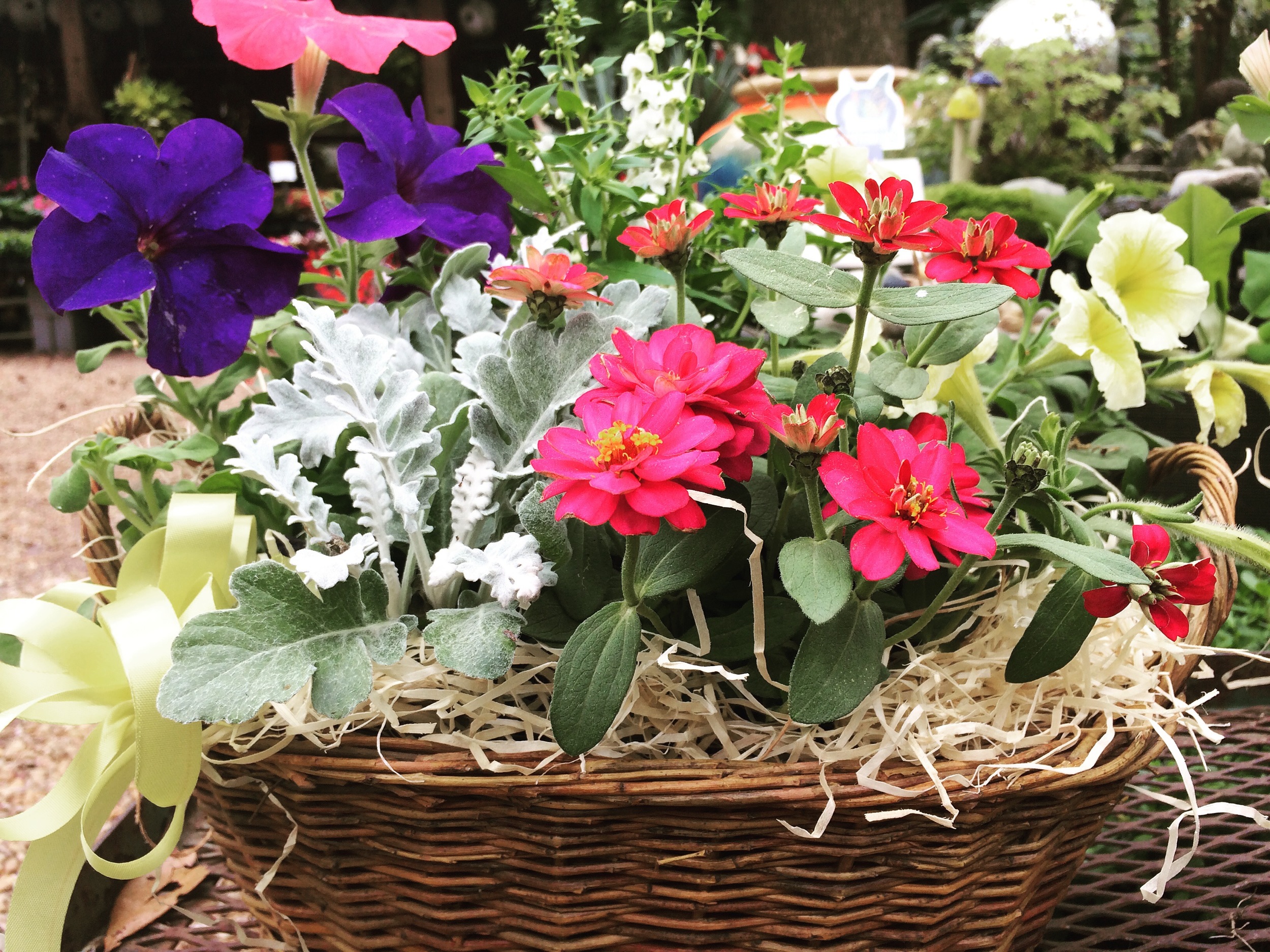 Flower & Herb Baskets