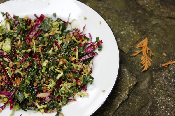 Garden to Table: Broccoli, Kale & Red Cabbage Harvest Salad with Satsuma-Ginger Dressing