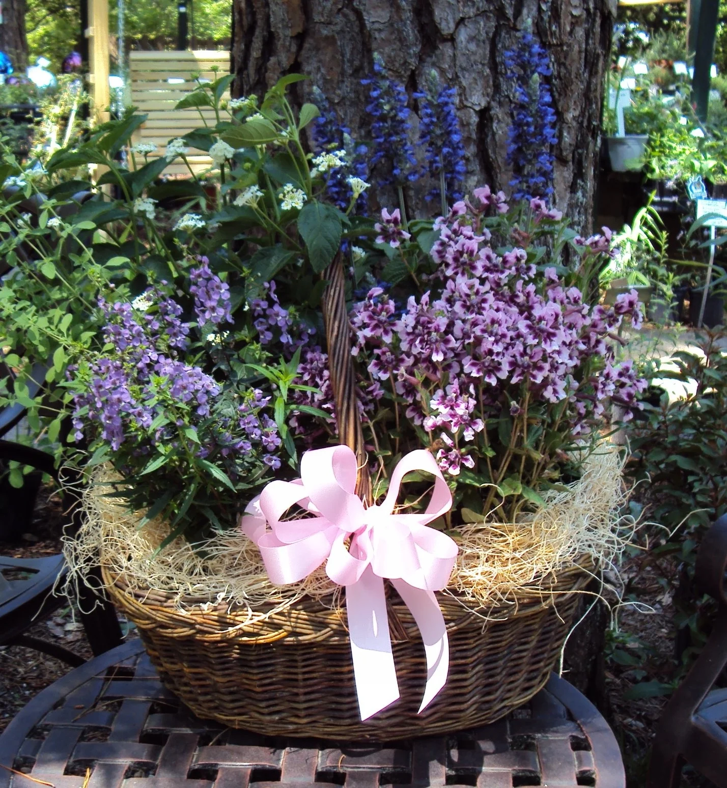 basketflower08_6000.jpg