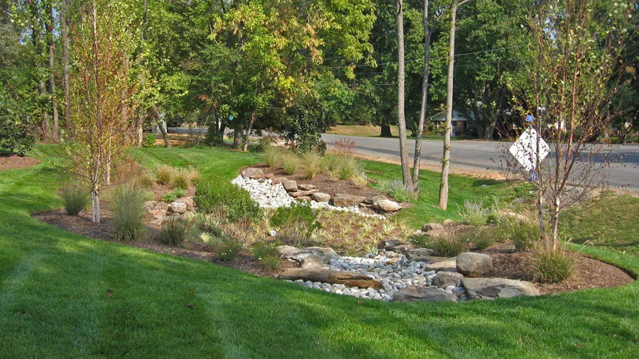 Creating A Rain Garden