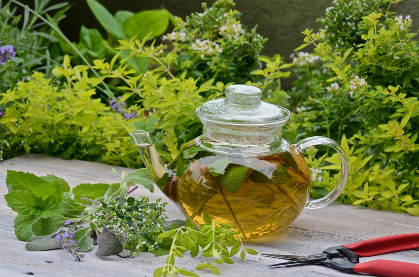 3 Herbal Tea Recipes & Delicious Accessories - THE SAGE