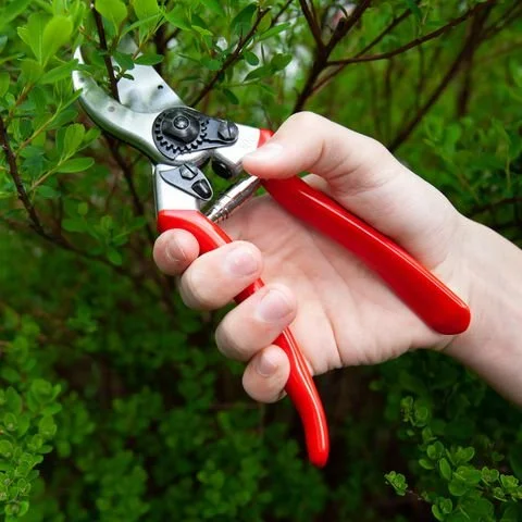 Sharpen Your Own FELCO® Pruners