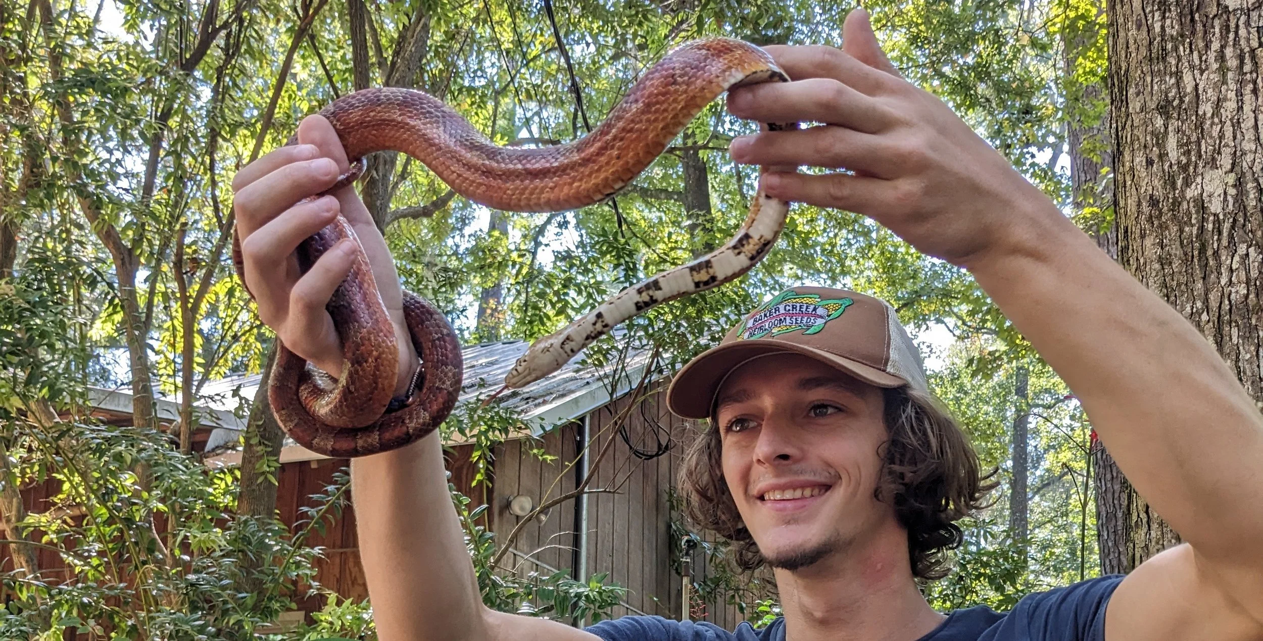 Wildlife Encounters w/ the Tallahassee Museum - FREE