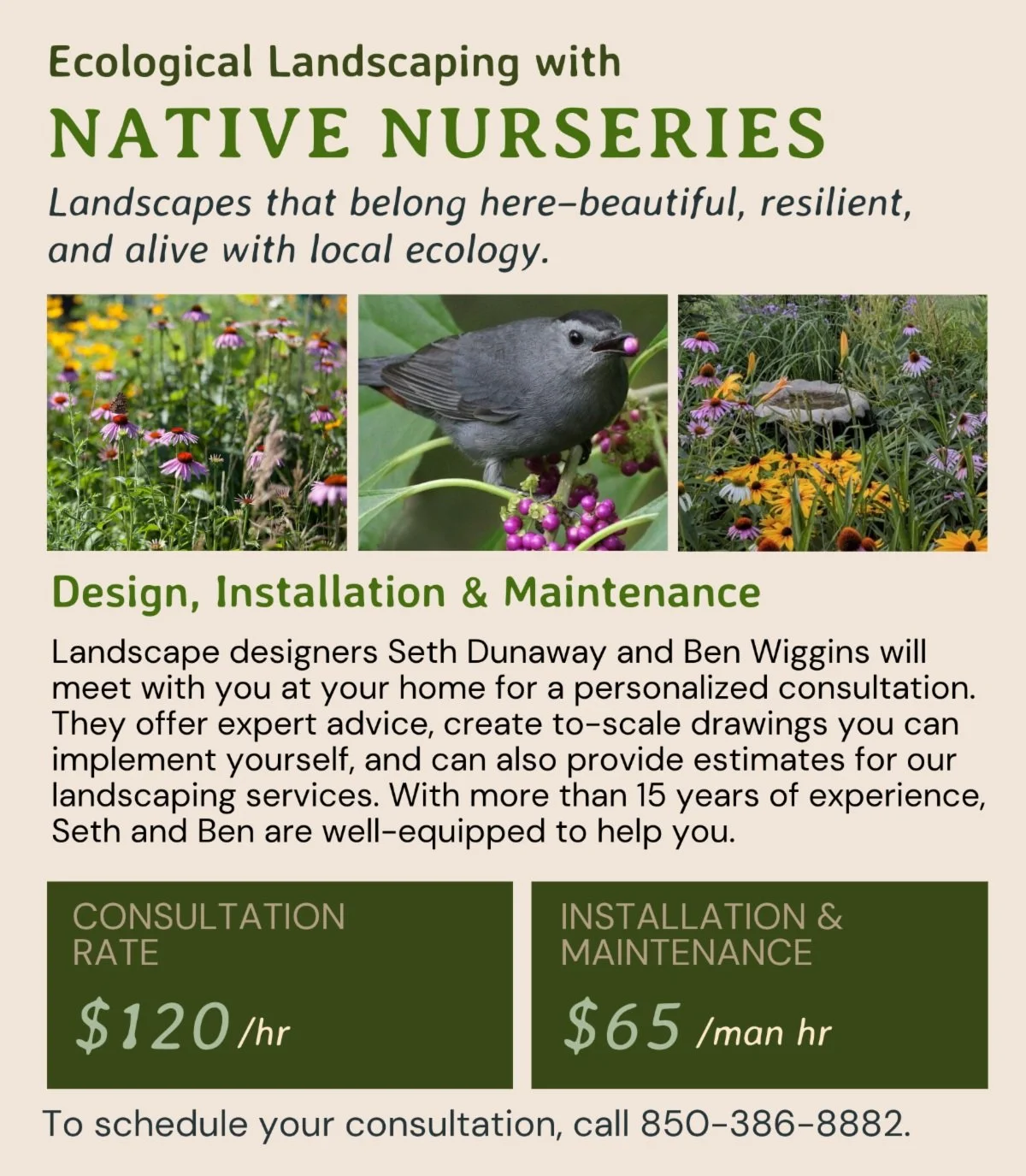 Our approach to landscaping recognizes that we are part of nature. It requires a deep knowledge of plants, patience, and an understanding that transforming a landscape is a process.

The choices we make as gardeners can profoundly affect the diversit