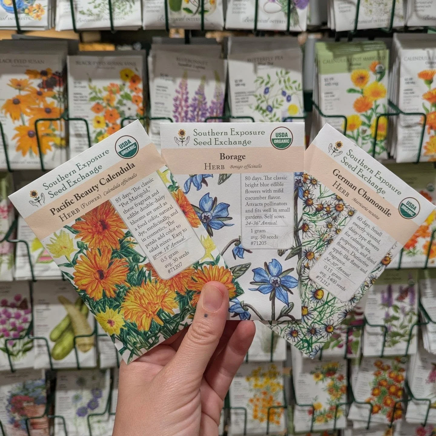 Fall is a wonderful time to sow cool-season annuals in North Florida, bringing color, fragrance, and a little cheer to the garden through the cooler months.

Stop by for seeds of some of our seasonal favorites:

Calendula &mdash; Cheerful golden and 