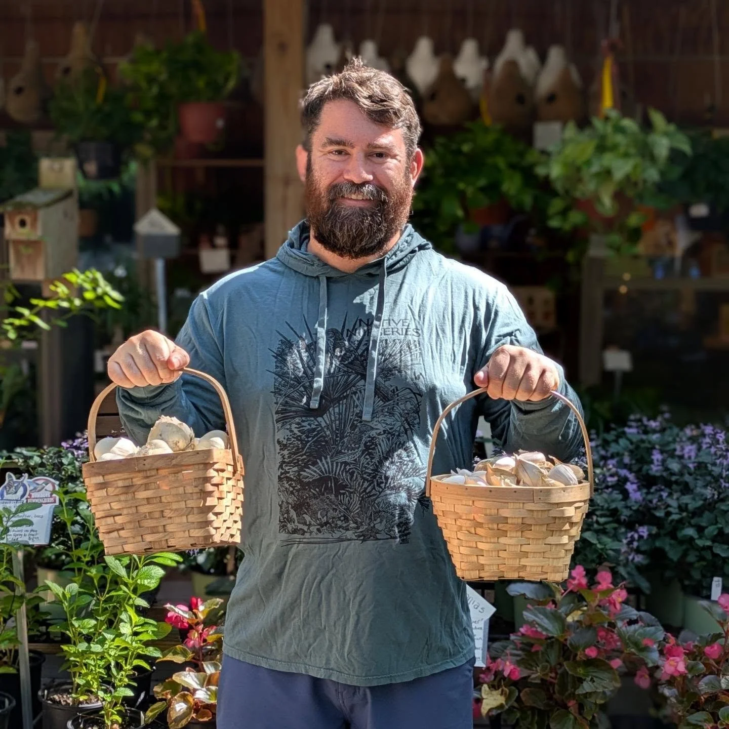 Grow your own garlic!

Bake garlic knots, whip up some homemade hummus, or ward off vampires by growing your own garlic! 

A more traditional softneck variety, the organic Inchelium Red features white skin with purple stripes and numerous small clove