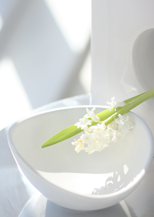 White_Bowl_Flowers.jpg
