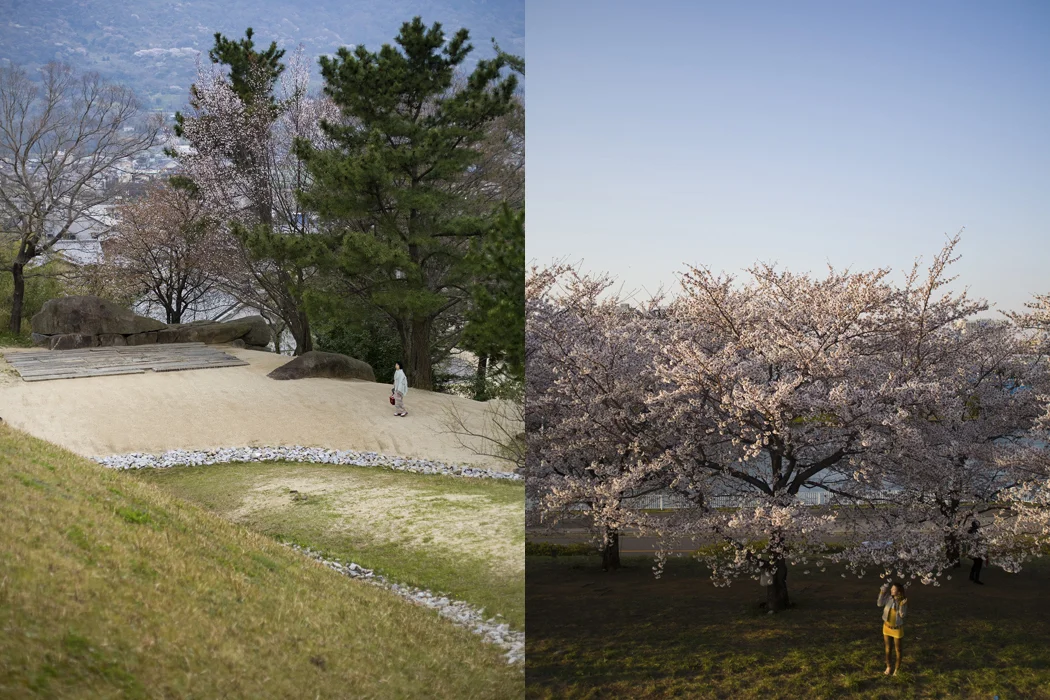 Japan_Osamu_Noguchi_House_CherryBlossoms_Diptych.jpg