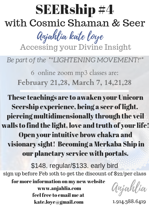 SEERship Trainings, flyer.png
