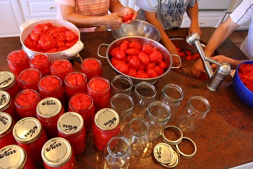 Canning Tomatoes: the entire process