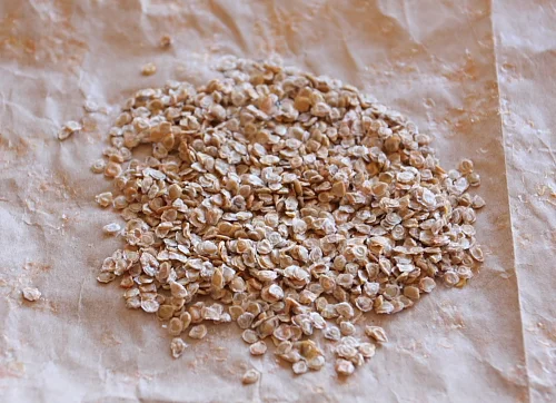 How to save tomato seeds