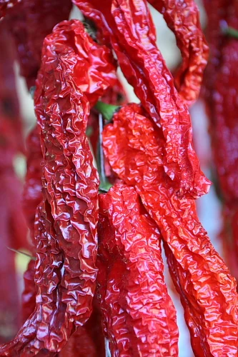 Peppers and more peppers