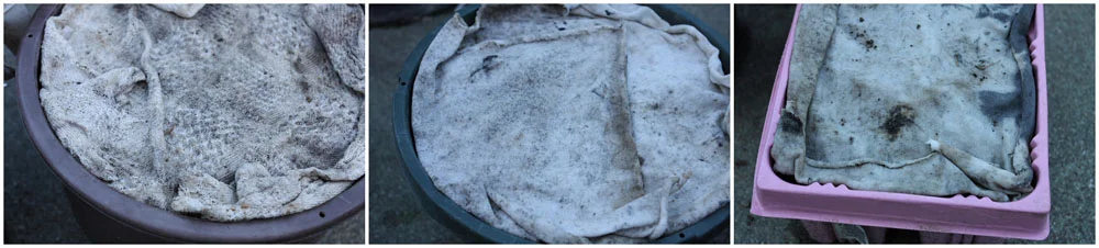 It's time to start your seeds!