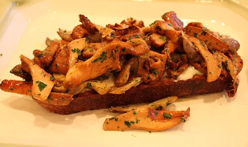 Crostone con i Funghi  (Grilled Bread with Sautéed Wild Mushrooms and Taleggio Cheese)