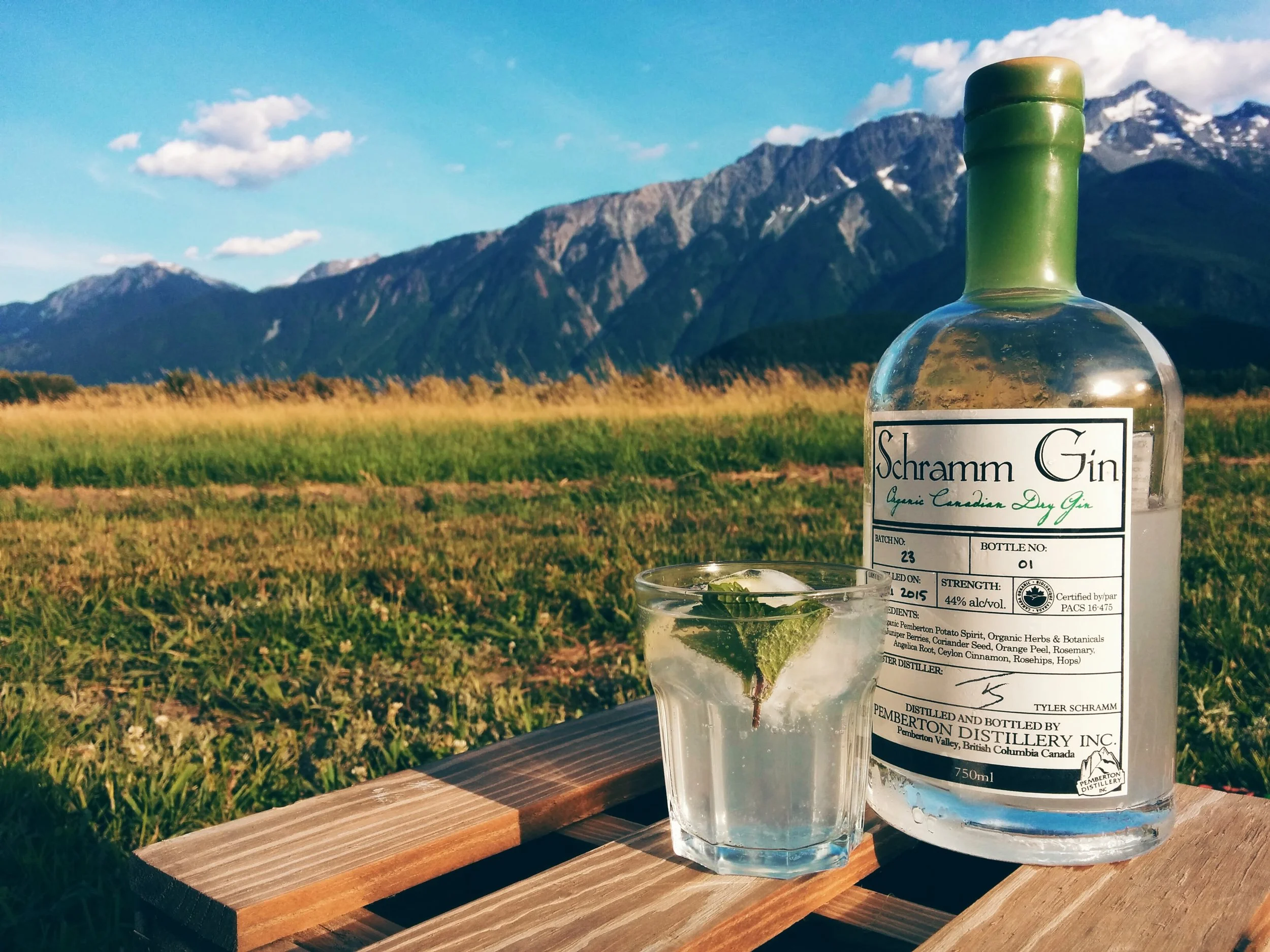 Schramm G&T under Pemberton's Mt Currie