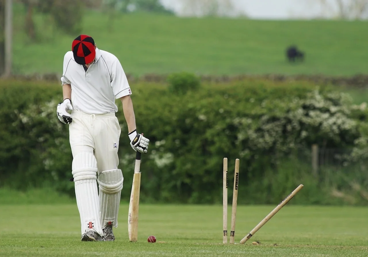 village cricket.jpg