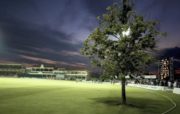 tree ground.jpg