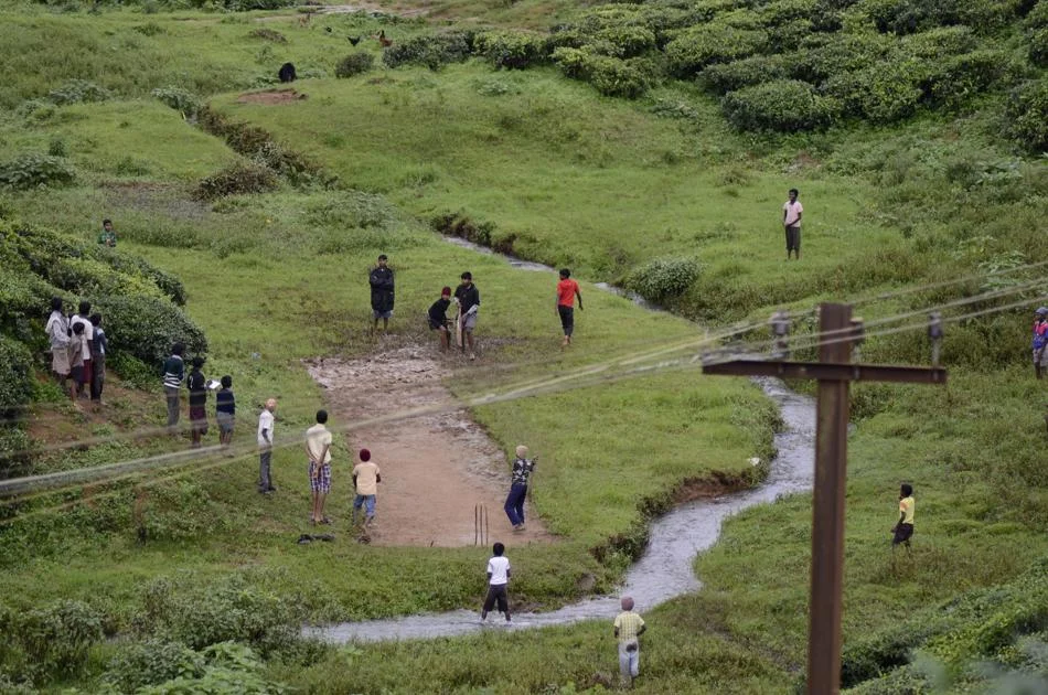 stream cricket.jpg